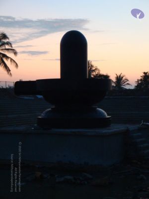 20081231 Photo 2403 1pSmbOEB87KG2o3T3KUMDAQsXDNhNJdYf.JPG