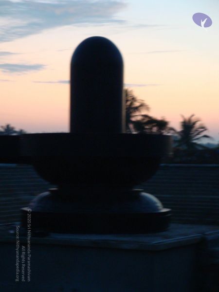 File:20081231 Photo 2404 12FcpXA6VIrrRsvZh6JITICQYTlYpAIw6.JPG