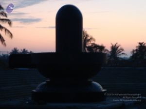 20081231 Photo 2405 1so0DKfIcB4 gzq3tLNgVBte0dsynED1 .JPG