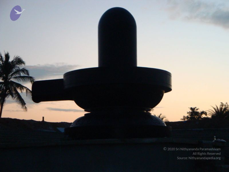 File:20081231 Photo 2408 151EaVuCk3s1H9YF8kKOkfsl9npCziWIz.JPG