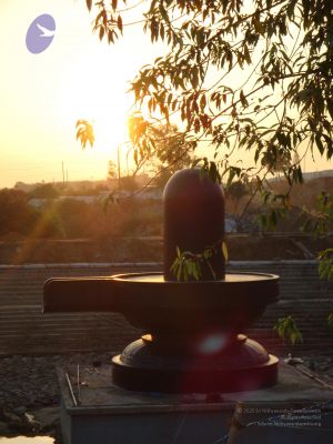 20081231 Photo 2419 18dYJCWBKueBsKrQBuiA0FTZi6qSCSxHJ.JPG