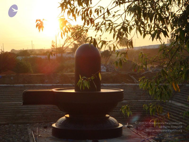 File:20081231 Photo 2420 15fgIDgfYKpm wLPMFT-5qZB2AmeDTjoS.JPG