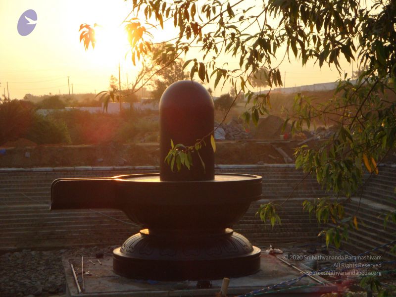 File:20081231 Photo 2421 1vu-Ox9KVXMl9ihKNYWconQOGTwvfoJG5.JPG