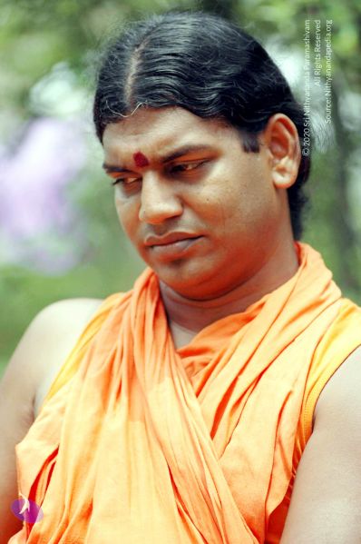 File:2008 DSC 8419 CMP WM 0011.jpg