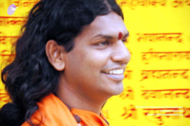 File:2008 DSC 8978 CMP WM 0011.jpg