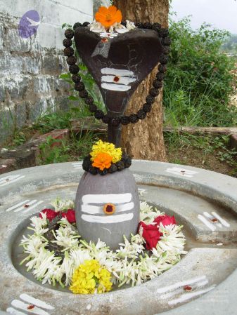 2008 Gurukul Photo 113 1ZrU7tPneO8QV3jieoS0C9az5dAPOCK7P.jpg