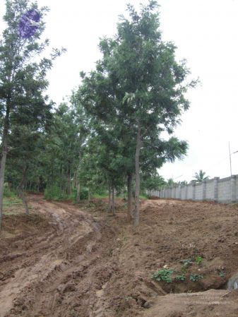 2008 Gurukul Photo 133 1TfGsl e9MkLZJsoxfku8XFMAG5wjP4Lj.jpg