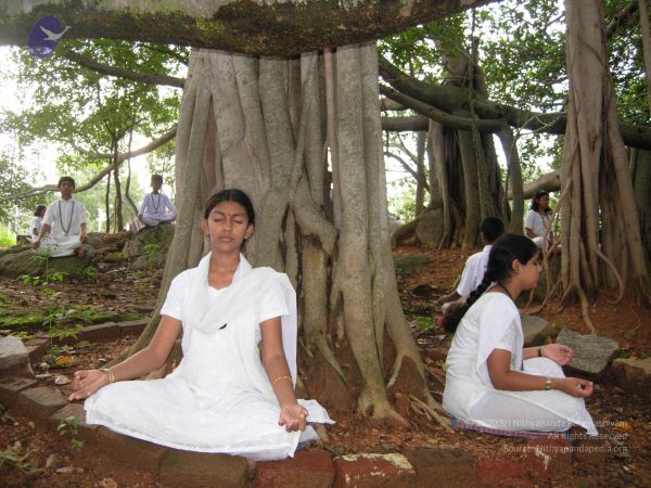 2008 Gurukul Photo 230 1dEWMH 6UfTZFxRpCoIuMpn1ItrGlqXGv.jpg