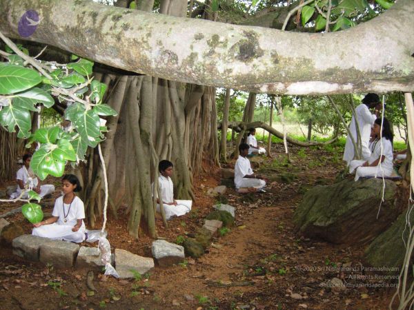 2008 Gurukul Photo 234 1nenHmWijfC02a57C4ngXsM6y2sL3pcXZ.jpg