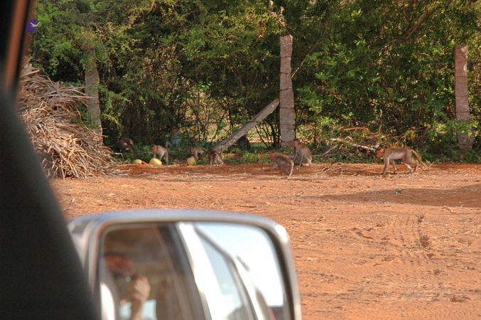 2008 Making Of ARSJP 9461.jpg