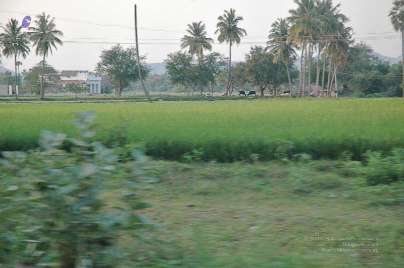 File:2008 Making Of ARSJP 9878.jpg