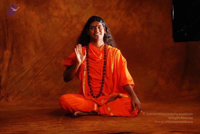 File:2008 SY14167 CMP WM.jpg