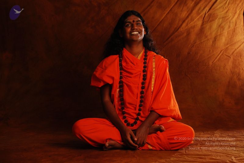 File:2008 SY14175 CMP WM.jpg