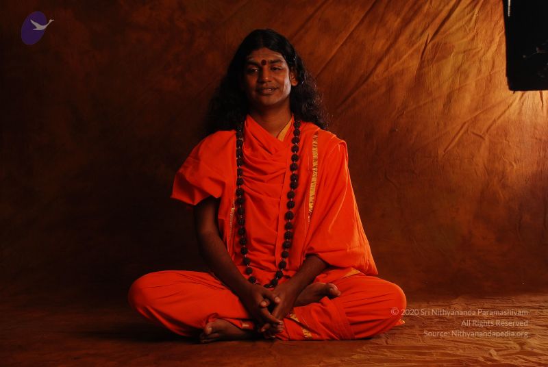 File:2008 SY14180 CMP WM.jpg