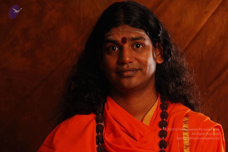 File:2008 SY14181 CMP WM.jpg