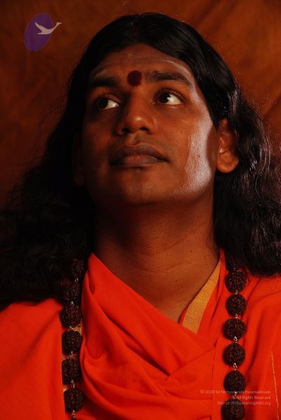 File:2008 SY14186 CMP WM.jpg