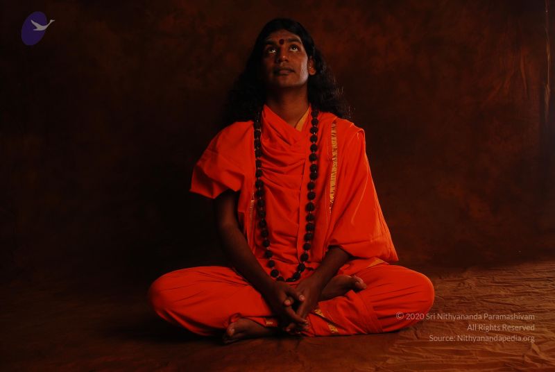 File:2008 SY14188 CMP WM.jpg