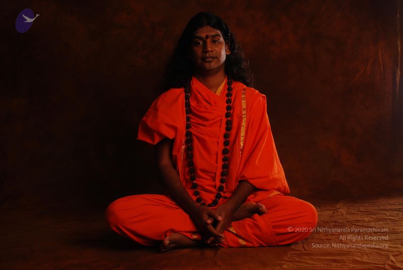 File:2008 SY14190 CMP WM.jpg