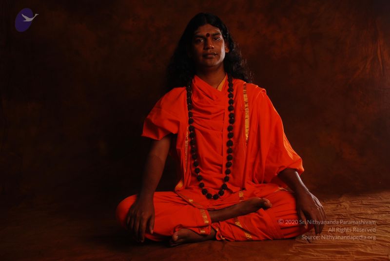 File:2008 SY14191 CMP WM.jpg