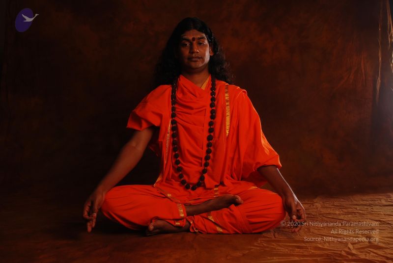 File:2008 SY14192 CMP WM.jpg