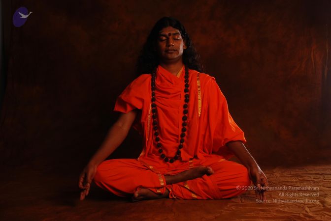 2008 SY14193 CMP WM.jpg