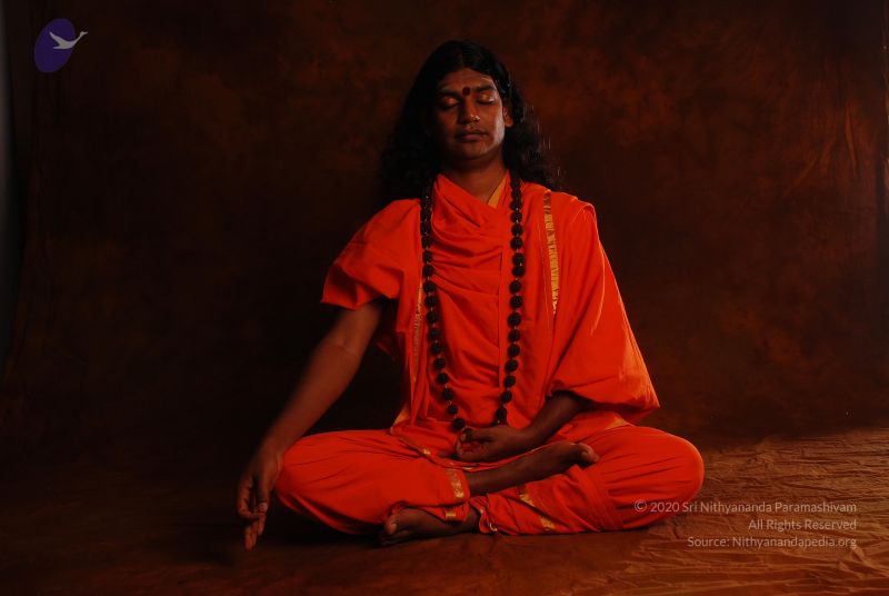 File:2008 SY14195 CMP WM.jpg