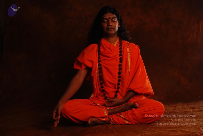 File:2008 SY14196 CMP WM.jpg