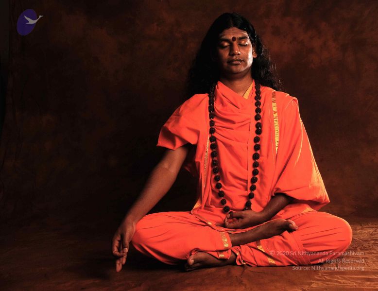 File:2008 SY14196n CMP WM.jpg