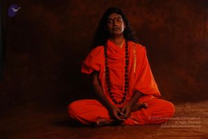 2008 SY14201 CMP WM.jpg