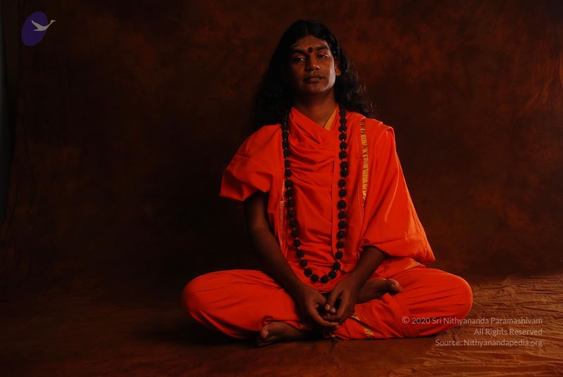 File:2008 SY14201 CMP WM.jpg