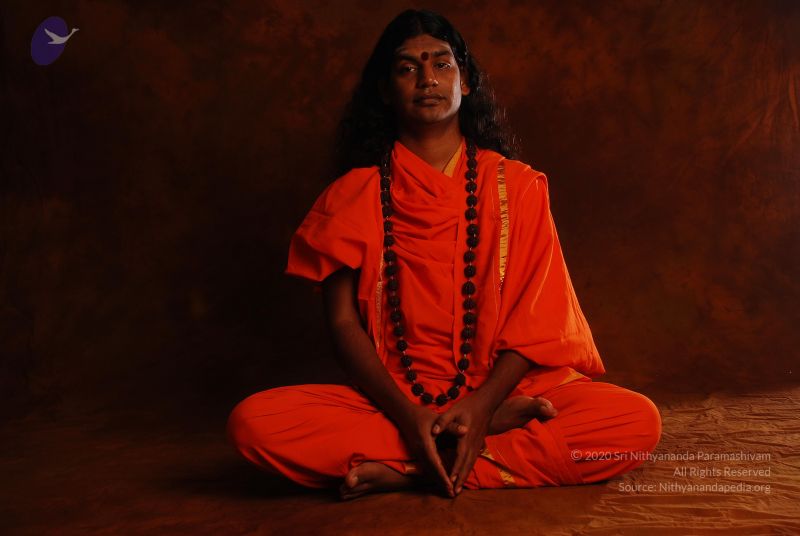 File:2008 SY14202 CMP WM.jpg