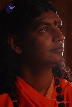 2008 SY14206 CMP WM.jpg