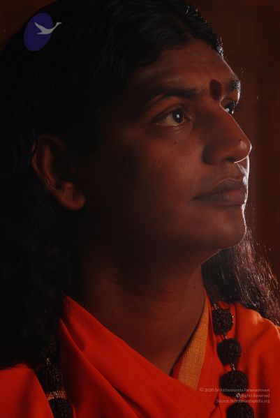 File:2008 SY14206 CMP WM.jpg