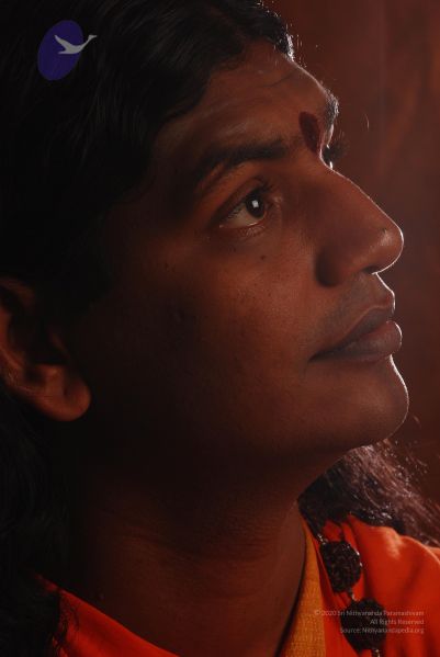 File:2008 SY14207 CMP WM.jpg