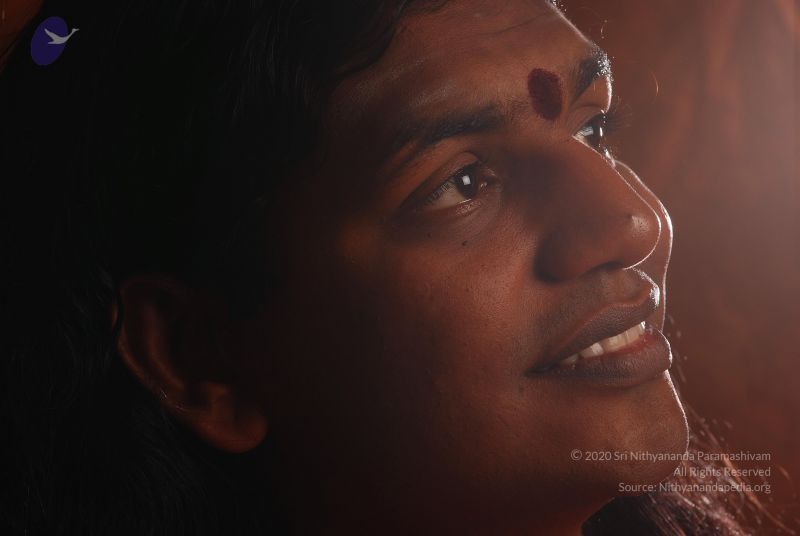 File:2008 SY14209 CMP WM.jpg