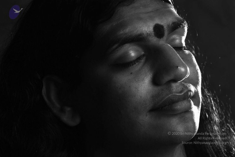 File:2008 SY14211n CMP WM.jpg