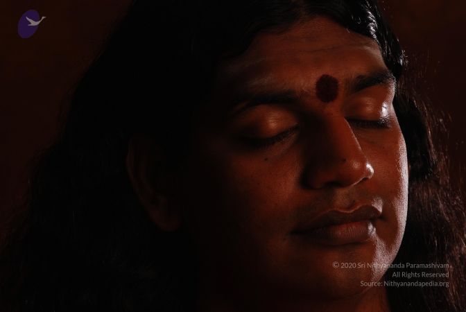 2008 SY14213 CMP WM.jpg