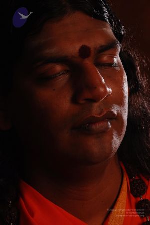 2008 SY14214 CMP WM.jpg