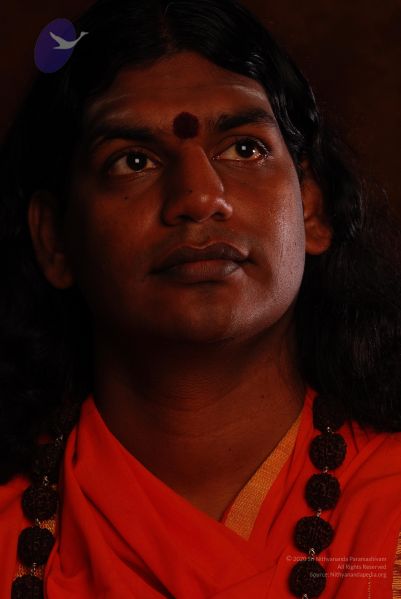 File:2008 SY14217 CMP WM.jpg