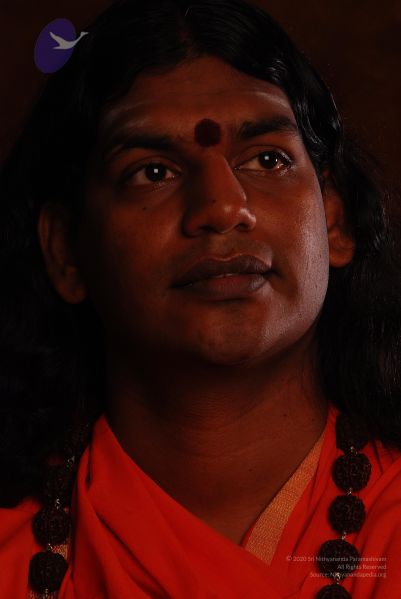 File:2008 SY14218 CMP WM.jpg