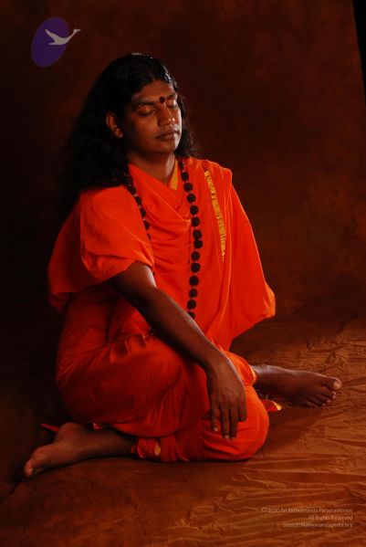 File:2008 SY14224 CMP WM.jpg