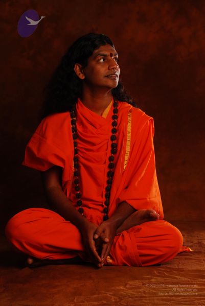 File:2008 SY14227 CMP WM.jpg