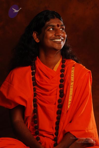 File:2008 SY14228 CMP WM.jpg