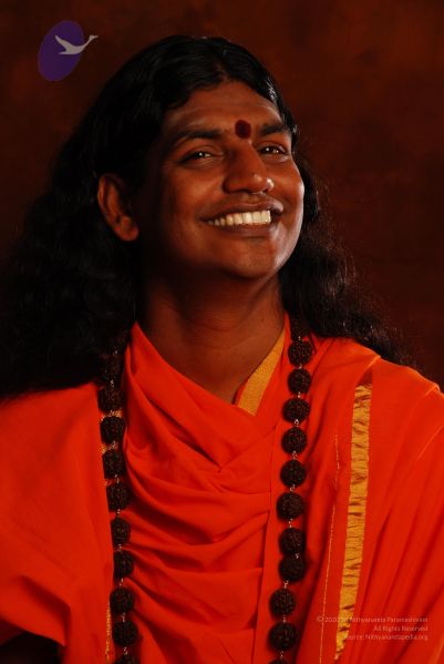 File:2008 SY14229 CMP WM.jpg