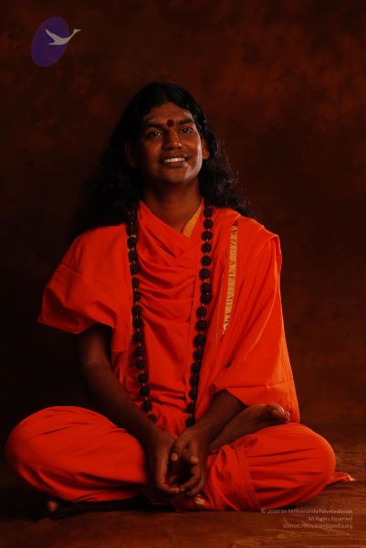 File:2008 SY14231 CMP WM.jpg