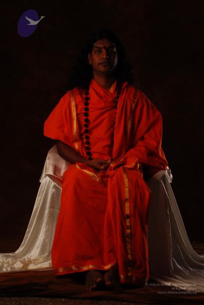 File:2008 SY14234 CMP WM.jpg