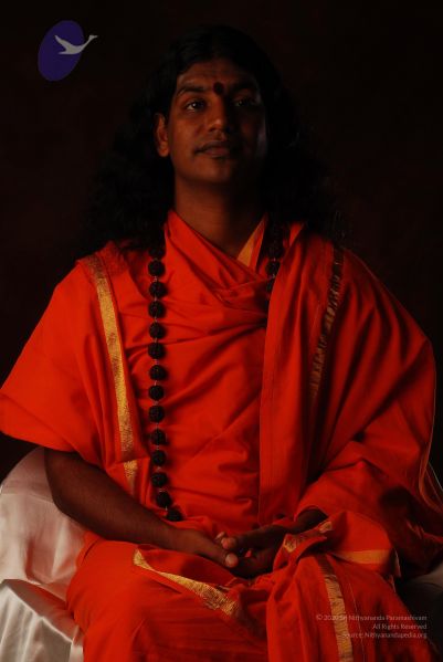 File:2008 SY14238 CMP WM.jpg