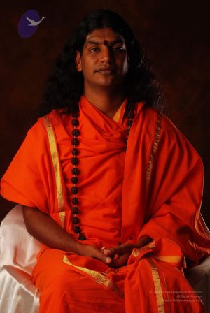 2008 SY14239 CMP WM.jpg