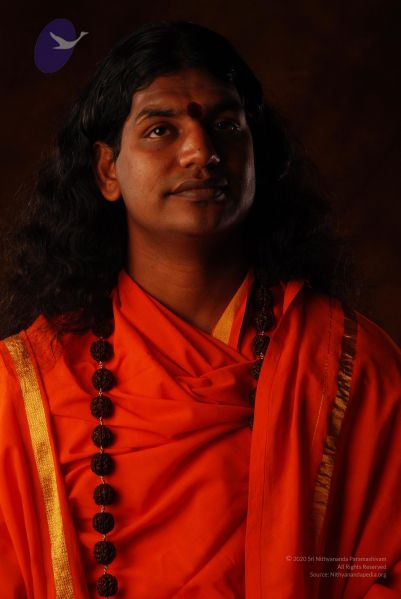 File:2008 SY14243 CMP WM.jpg