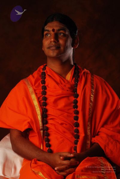 File:2008 SY14244 CMP WM.jpg